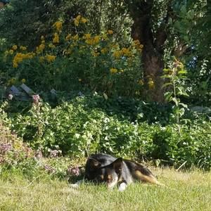 Meet your Posher, Scotty